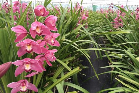 Photo of property in 2995 Tiki Sh25 Road, Preece Point, Coromandel, 3581