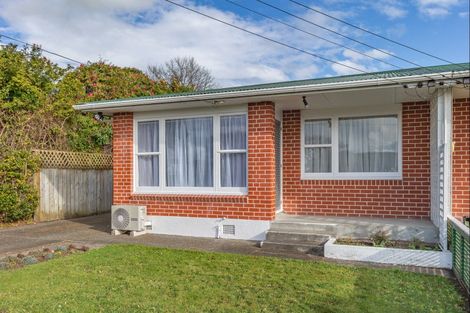 Photo of property in 43 Trafalgar Street, Levin, 5510