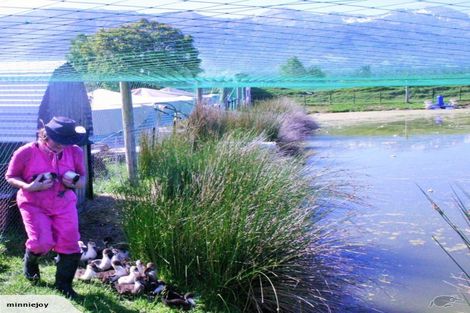 Photo of property in 90 Mill Road, Kaikoura Flat, Kaikoura, 7300