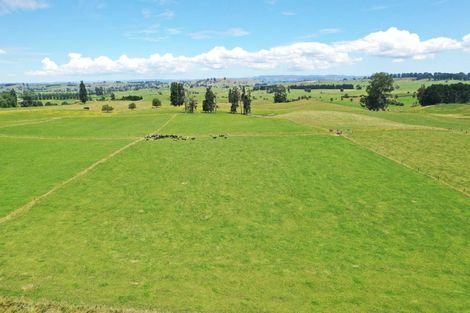 Photo of property in 912 Ngahape Road, Maihiihi, Te Awamutu, 3873