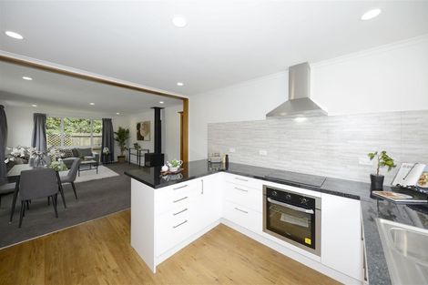 Photo of property in 17 Lionel Street, Avonside, Christchurch, 8061