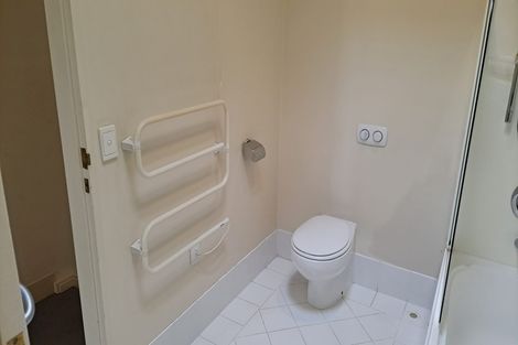 Photo of property in Civic Chambers Apartments, 24/25 Cuba Street, Te Aro, Wellington, 6011