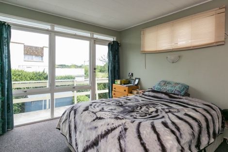 Photo of property in 717 Ballantyne Street, Frimley, Hastings, 4120