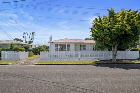 Photo of property in 29 Bledisloe Street, Levin, 5510