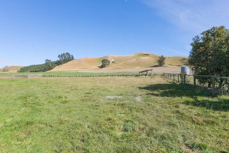 Photo of property in 668 State Highway 2, Otane, 4276