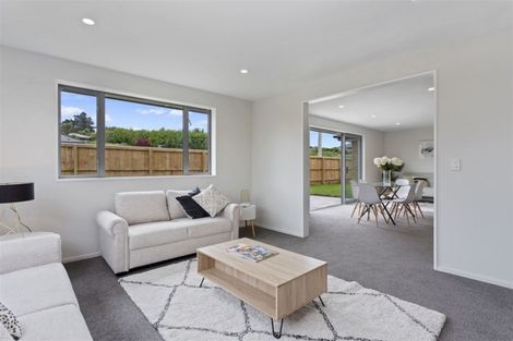 Photo of property in 30a Wineberry Avenue, Amberley, 7410