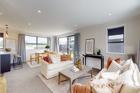 Photo of property in 58b Suffolk Street, Hampstead, Ashburton, 7700