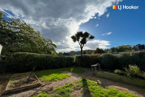 Photo of property in 16 Longworth Street, North East Valley, Dunedin, 9010