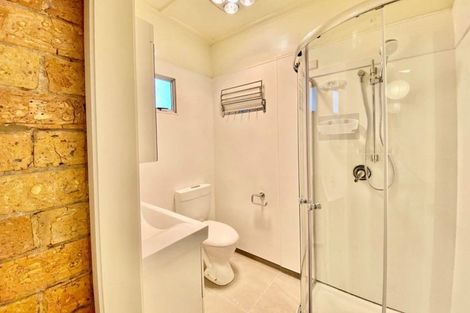 Photo of property in 22 Norwich Street, Eden Terrace, Auckland, 1021