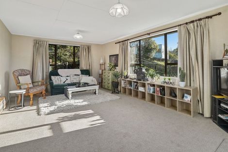 Photo of property in 4 Mount Vernon Place, Washington Valley, Nelson, 7010