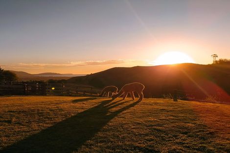 Photo of property in 105 Waterfall Road, Paraparaumu, 5032