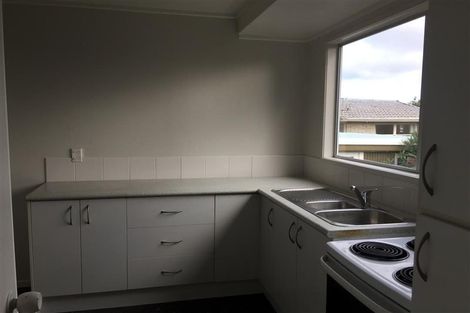 Photo of property in 49 Trevola Street, New Windsor, Auckland, 0600