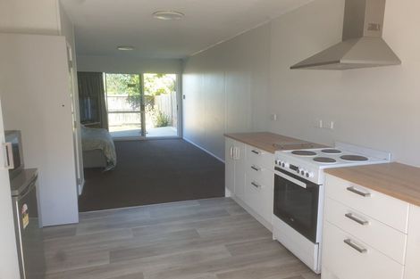 Photo of property in 22a King Street, Victoria, Rotorua, 3010