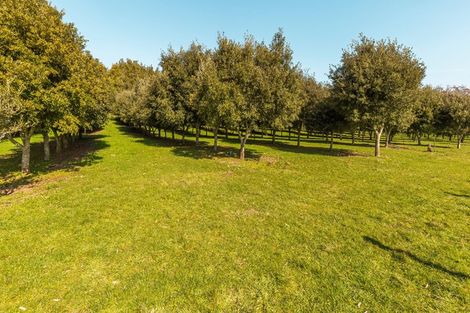 Photo of property in 154 Kaharoa Road, Hamurana, Rotorua, 3096