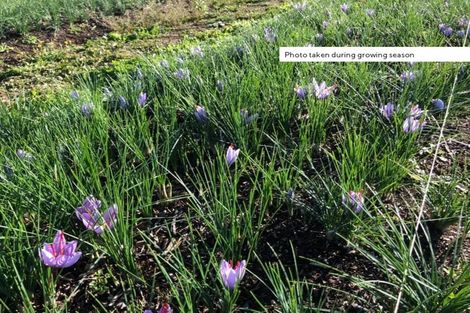 Photo of property in 741 Poyntzs Road, Eyrewell, Rangiora, 7476