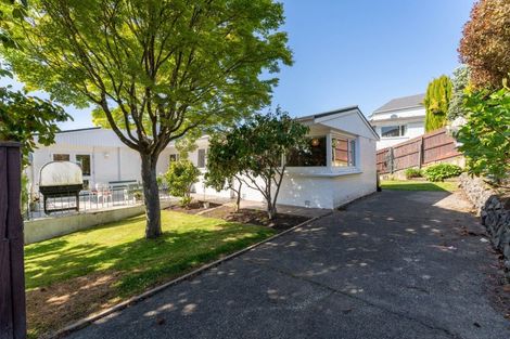Photo of property in 16 Leven Street, Roslyn, Dunedin, 9010
