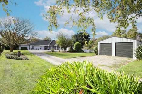 Photo of property in 34b Milne Street, Marton, 4710