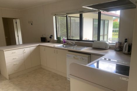 Photo of property in 20 Maurice Borich Place, Henderson, Auckland, 0610