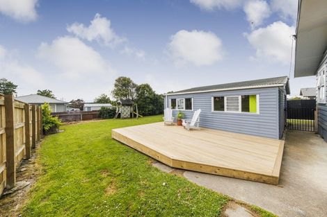 Photo of property in 21 Mcclure Street, Feilding, 4702