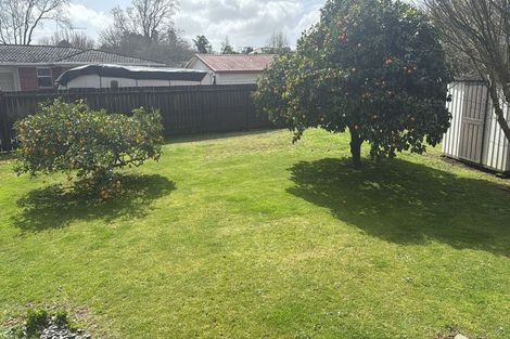 Photo of property in 4 Harlock Place, Huntly, 3700