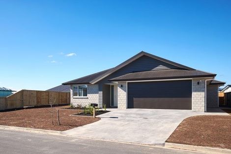 Photo of property in 49 Kahuparere Crescent, Pyes Pa, Tauranga, 3112