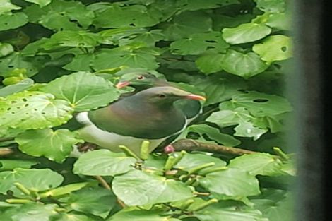 Photo of property in 102 Beach Road, Onerahi, Whangarei, 0110