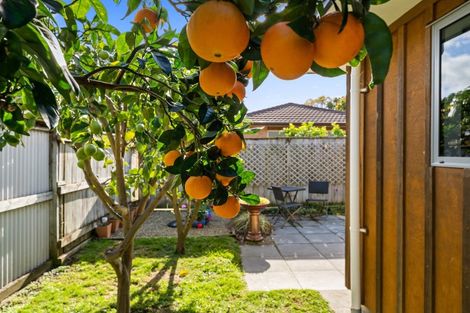 Photo of property in 19 Edgewater Street, Waikanae, 5036