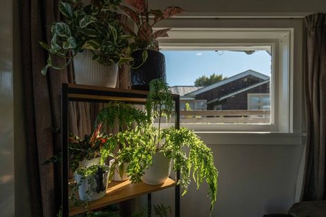 Photo of property in 91 Dunford Street, Rakaia, 7710