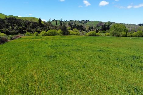 Photo of property in 6068 State Highway 4, Taumarunui, 3996