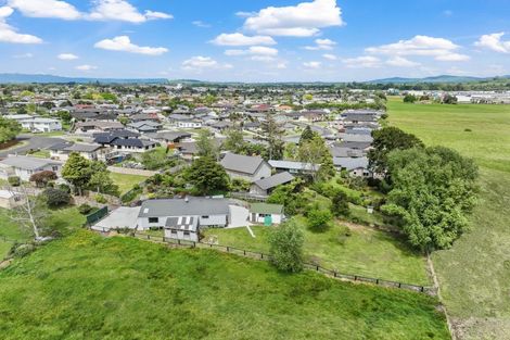 Photo of property in 19 Sain Crescent, Morrinsville, 3300