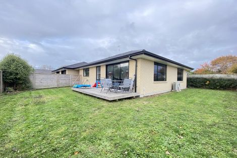 Photo of property in 5 Manchester Street, Levin, 5510