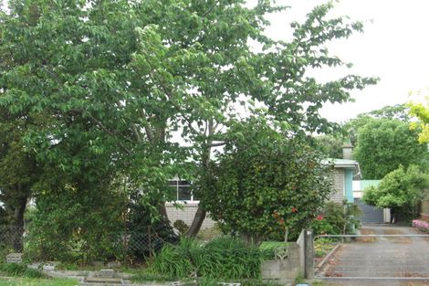 Photo of property in 72 Buchanan Street, Opotiki, 3122