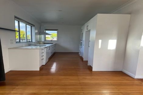 Photo of property in 13 Maranui Avenue, Point Chevalier, Auckland, 1022