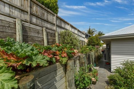 Photo of property in 16 Saint Michaels Avenue, Bethlehem, Tauranga, 3110