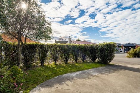 Photo of property in 257 Scott Street, Redwoodtown, Blenheim, 7201