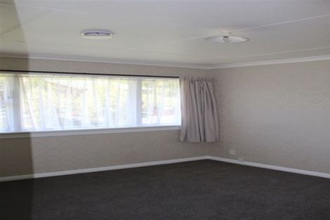 Photo of property in 117 Norwood Street, Normanby, Dunedin, 9010
