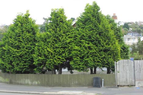 Photo of property in 150 South Road, Caversham, Dunedin, 9012