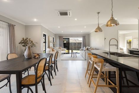 Photo of property in 20 Beaufort Place, Flagstaff, Hamilton, 3210