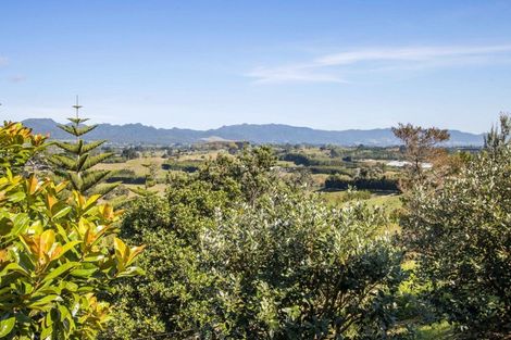 Photo of property in 316 Work Road, Aongatete, Katikati, 3181