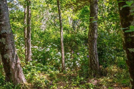 Photo of property in 15 Woodlands Way, Greytown, 5712