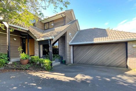 Photo of property in 17a Karetu Road, Greenlane, Auckland, 1051