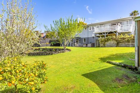 Photo of property in 35 Russell Terrace, Putaruru, 3411