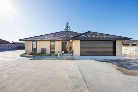 Photo of property in 14 Maple Street, Bunnythorpe, Palmerston North, 4478