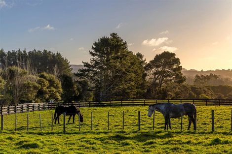 Photo of property in 93 Nixon Road, Taupaki, 0782