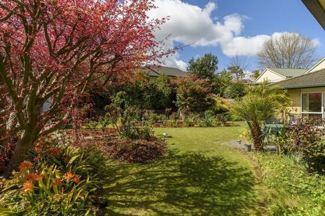 Photo of property in 6 Rothesay Lane, Bethlehem, Tauranga, 3110