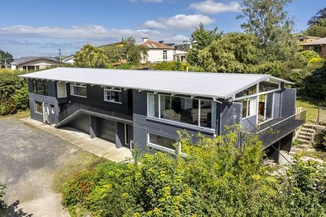 Photo of property in 19 Swanson Street, Kaikorai, Dunedin, 9010