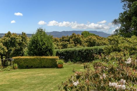 Photo of property in 1311d State Highway 2, Whakamarama, Tauranga, 3180