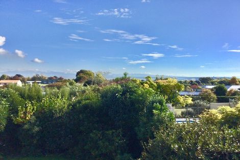 Photo of property in 6 Dartmoor Place, Richmond, 7020