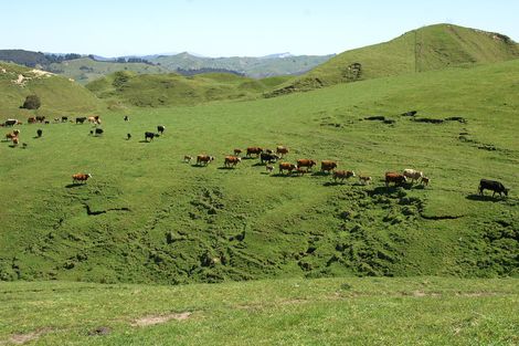 Photo of property in 89 Mcdonald Street, Napier South, Napier, 4110