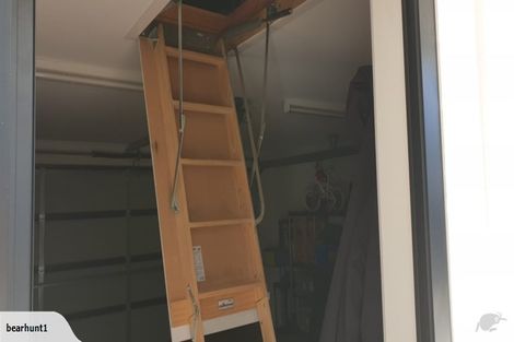 Photo of property in 56a Queenwood Avenue, Queenwood, Hamilton, 3210